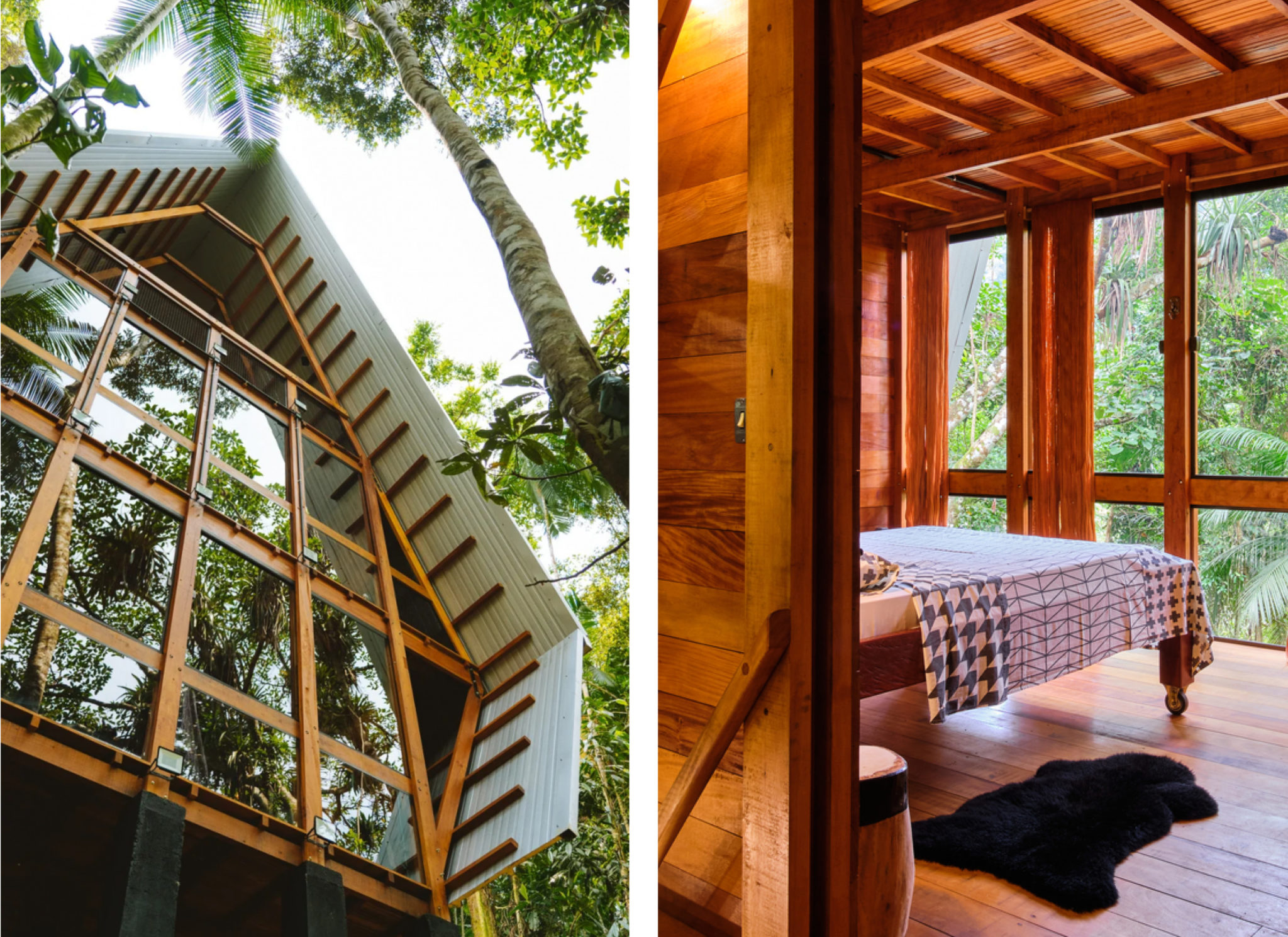 A monkey house in between trees What Design Can Do